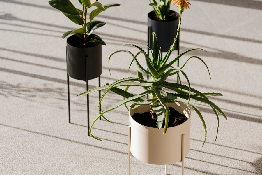 Plant Pots - Fensi Furniture